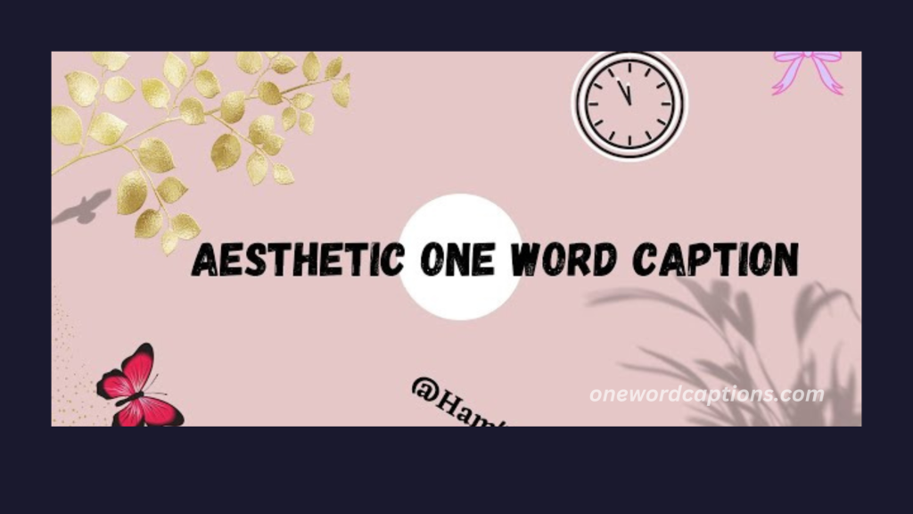 aesthetic one word captions