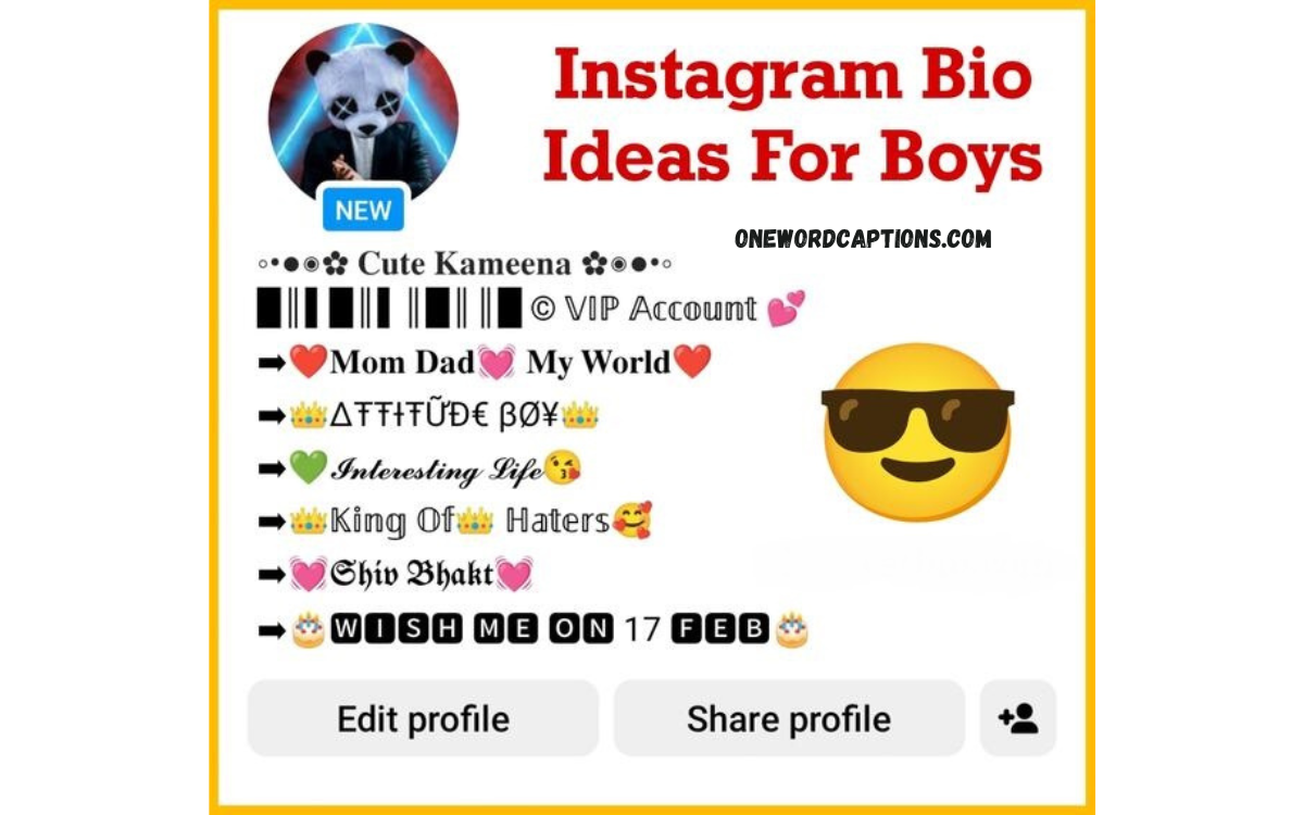 200+ Best Instagram Bio For Boys For Instagram - One Word Captions
